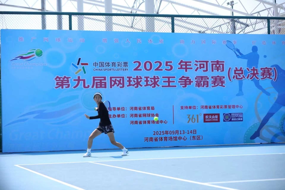 全民健身体, 系的重要组, 球球王争霸 全民健身体, 系的重要组, 球球王争霸